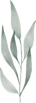 Recursos y herramientas descargables de psicología