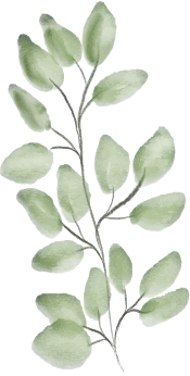 mini llamada gratuita para terapia psicologica