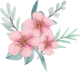 Terapia de grupo Psicología con Carla en las Palmas