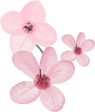 LLamada gratis terapia psicologica en las palmas