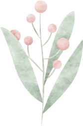 Terapia humanista en las palmas