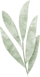 Terapia con enfoque sistémico en las Palmas