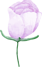 Terapia presencial en las palmas de gran canaria