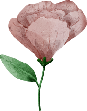 Terapia online en las palmas de gran canaria